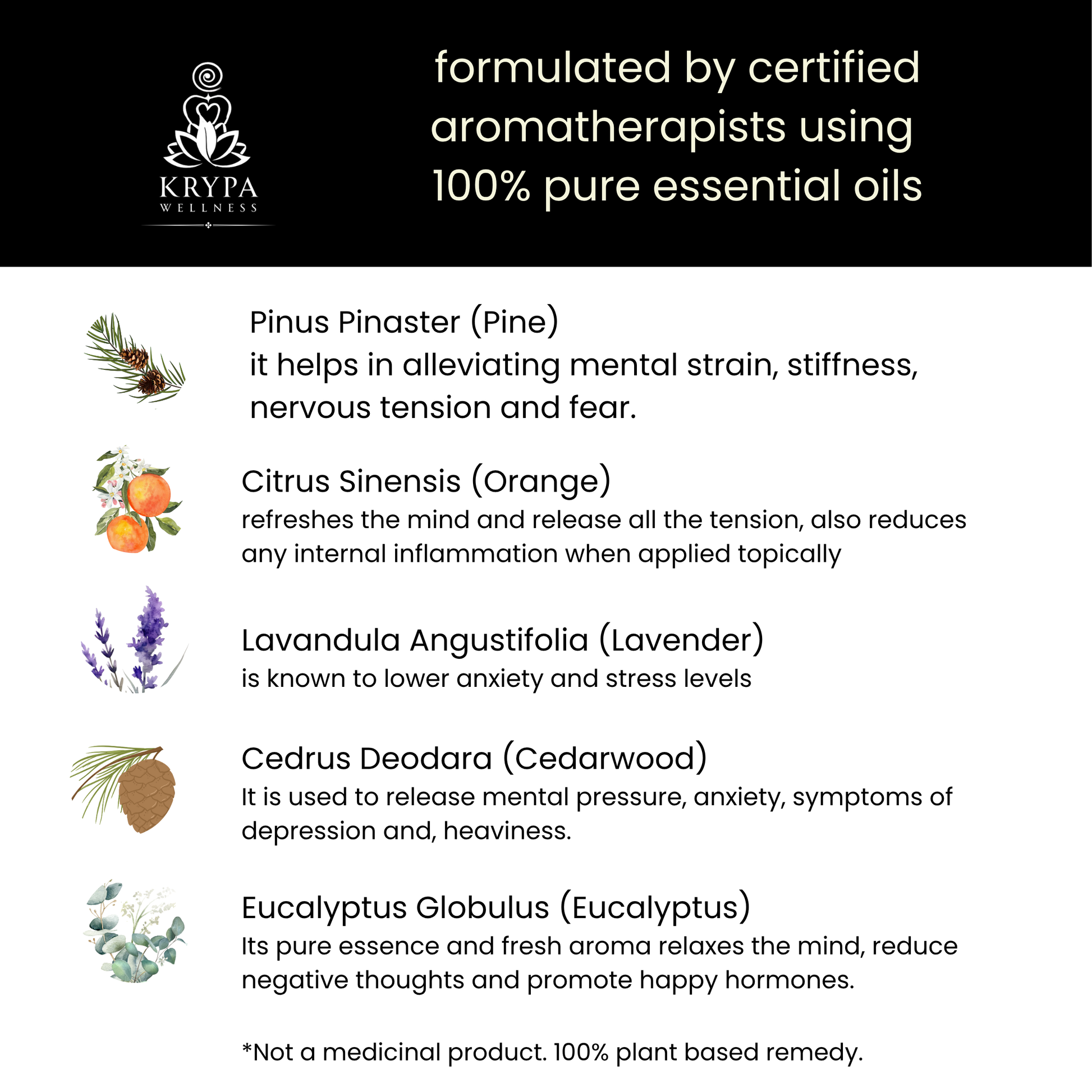 Dhīḥ Pulse Point Roll-On